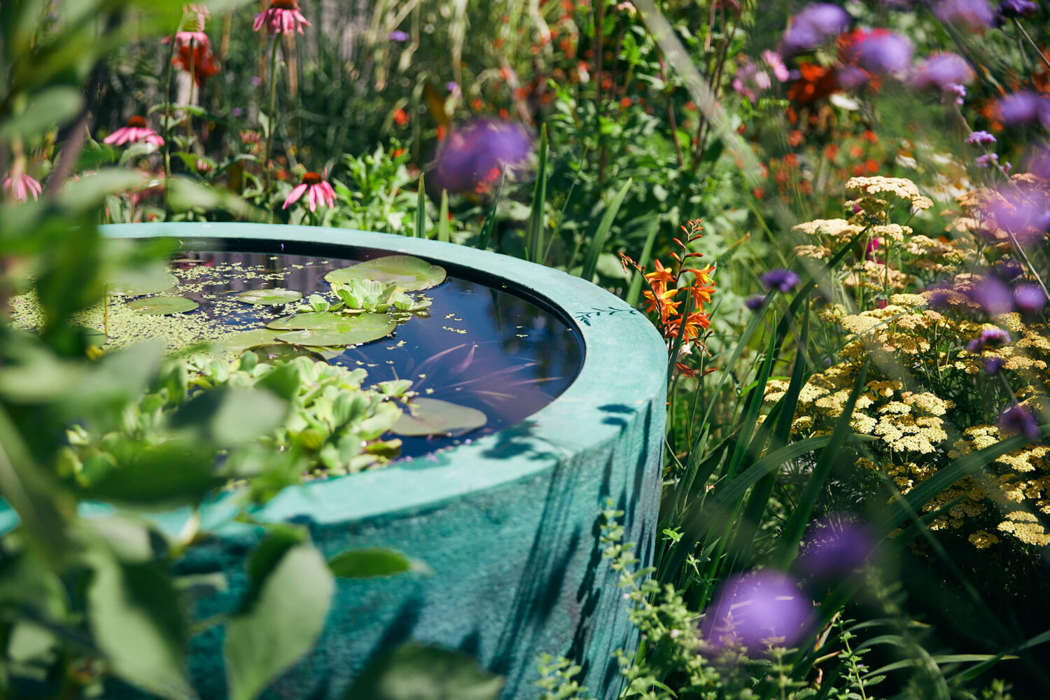 garden design aldwick