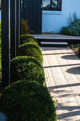 beach road garden design 8