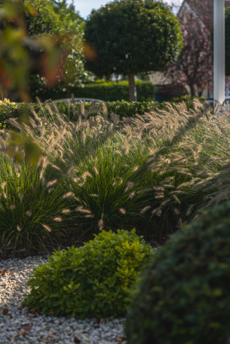 beach road garden design 10