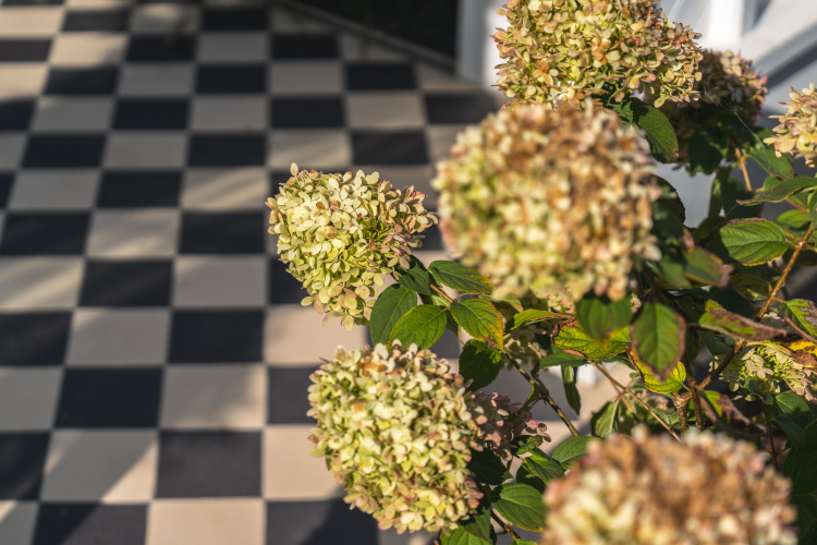 beach road garden design 15