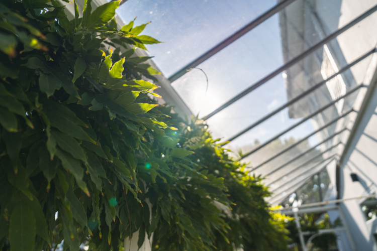 beach road garden design 21