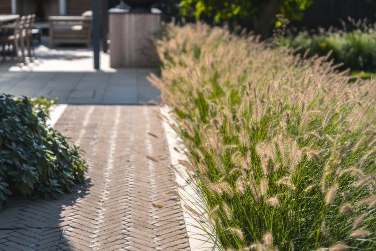 beach road garden design 20