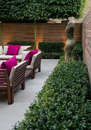Professional Garden Designs By Experts 