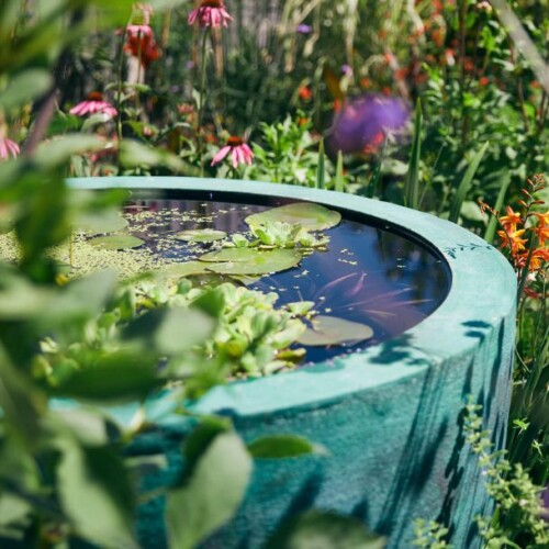 Rain Gardens & Drainage Solutions: Designing Gardens for Wet Weather